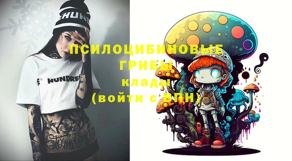 стафф Зерноград