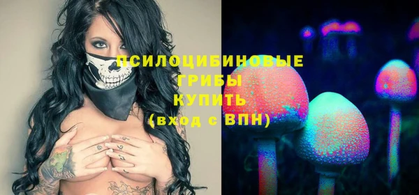 ешки Зеленодольск