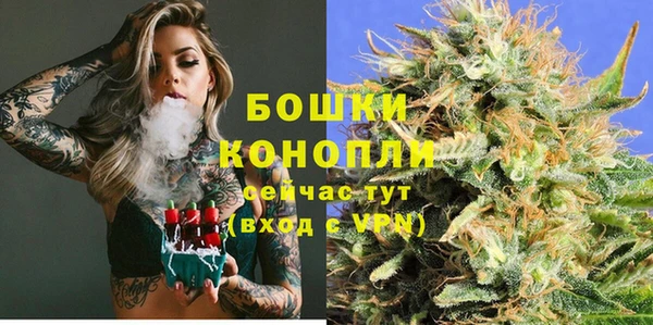 стафф Зерноград