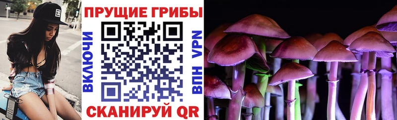 Купить закладки  Курган  Псилоцибиновые грибы прущие грибы 